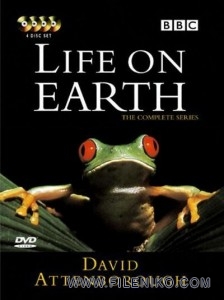 دانلود مجموعه مستند Life on Earth 1979 زندگی بر روی زمین با زیرنویس انگلیسی مالتی مدیا مستند 